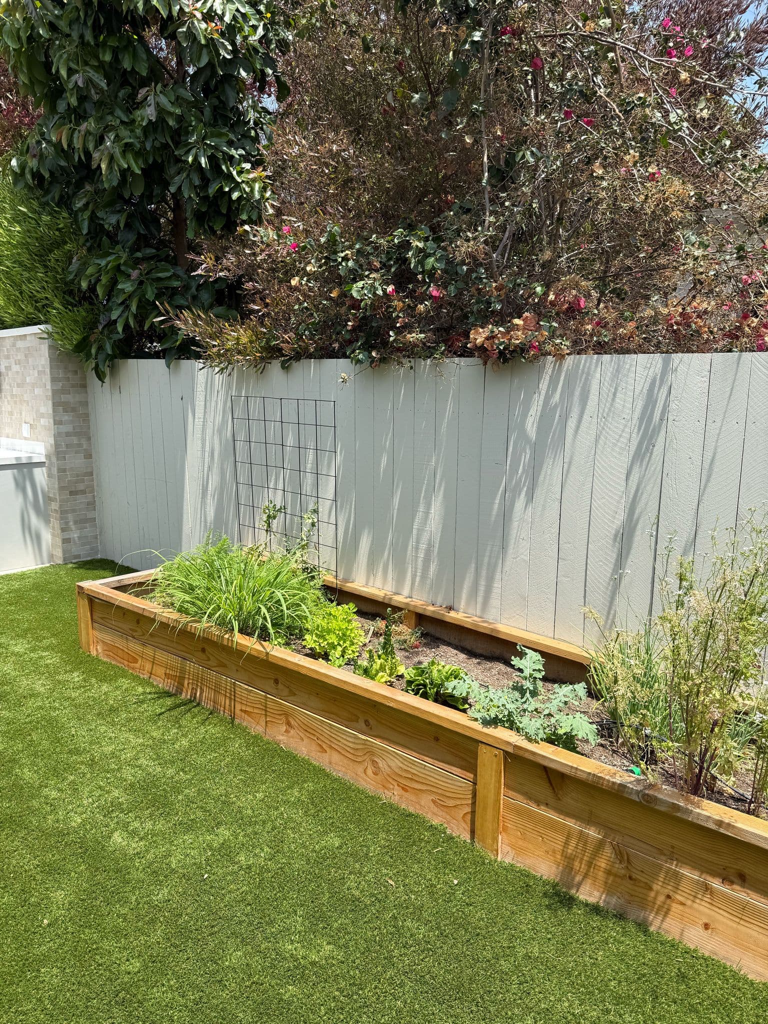 proj backyard remodel in culver city gallery 1