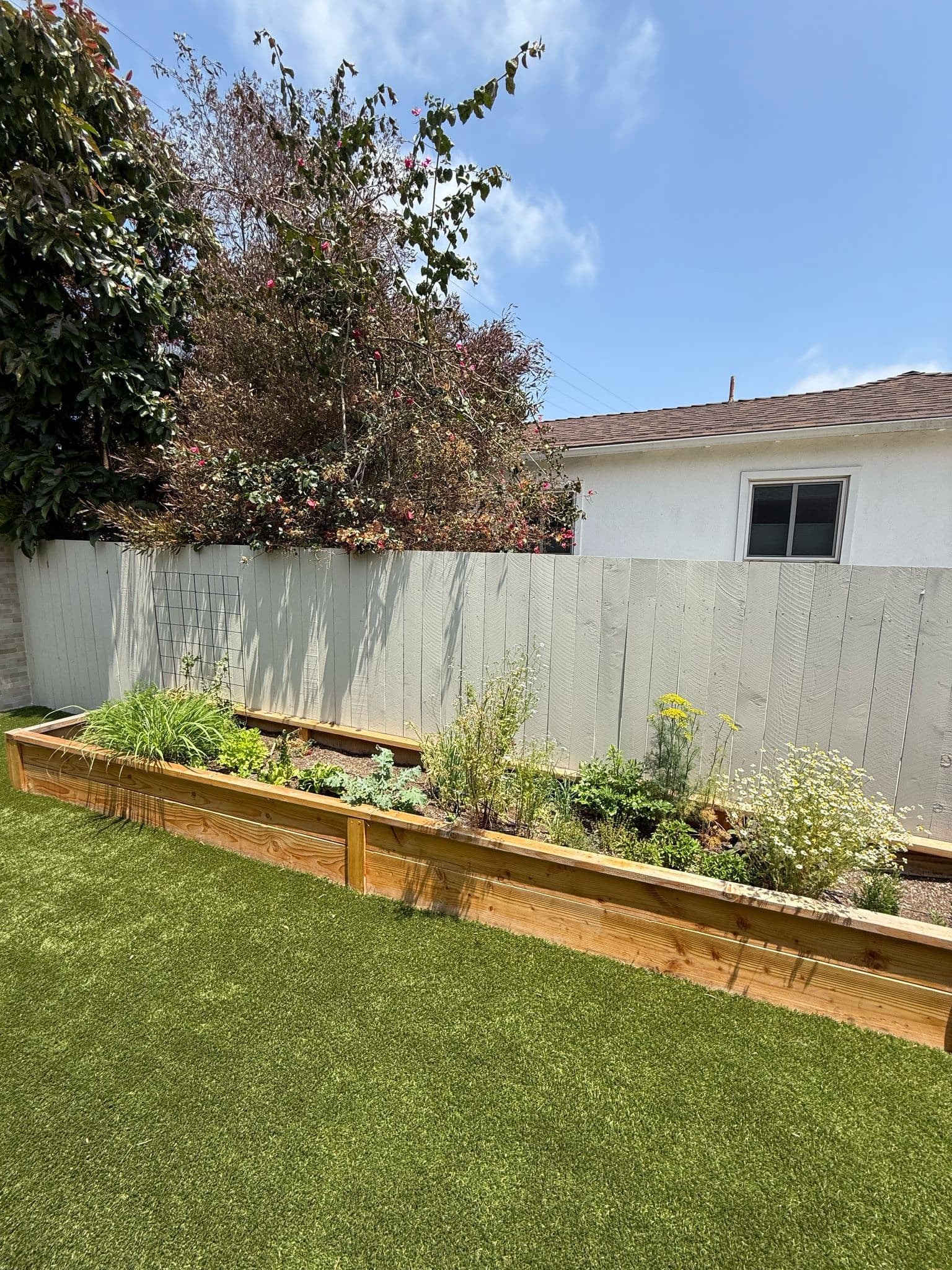 proj backyard remodel in culver city gallery 4