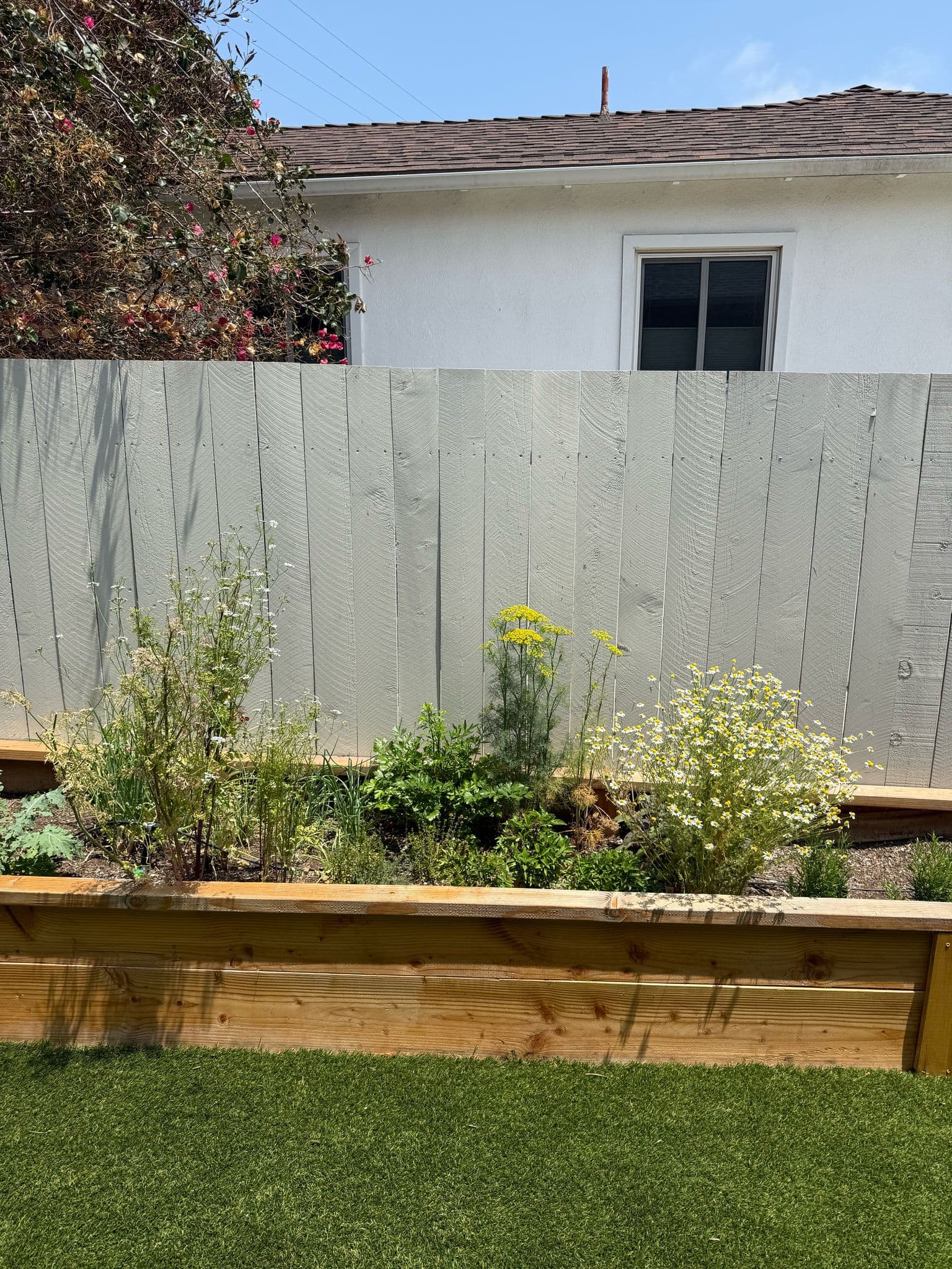 proj backyard remodel in culver city gallery 9