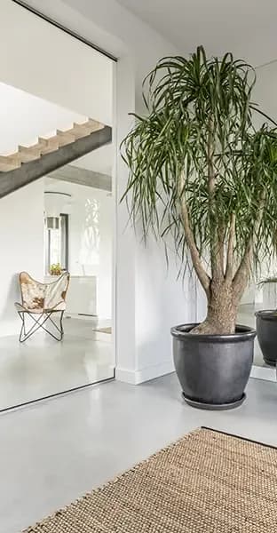 proj brentwood contemporary house gallery 2