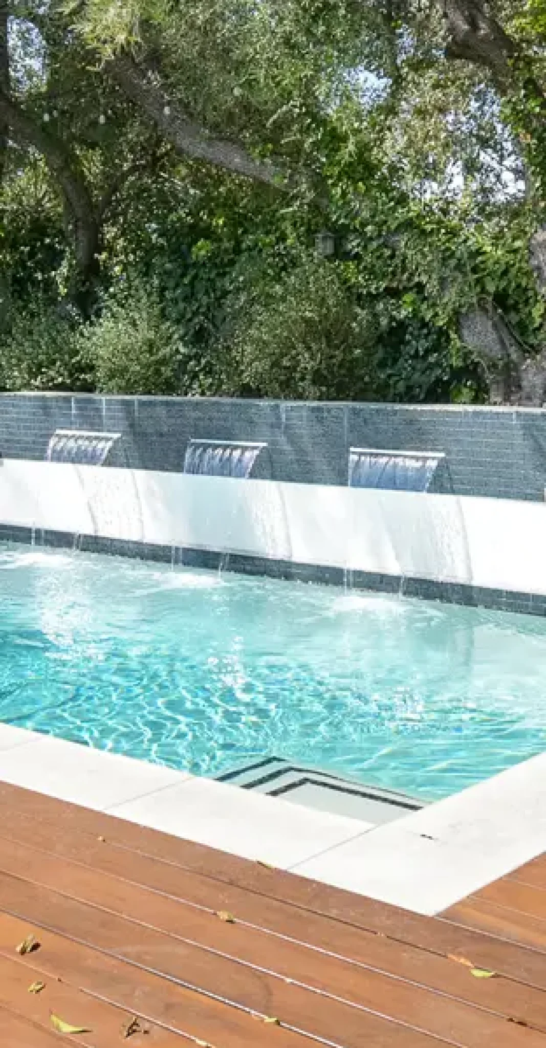 Pool and Backyard Construction